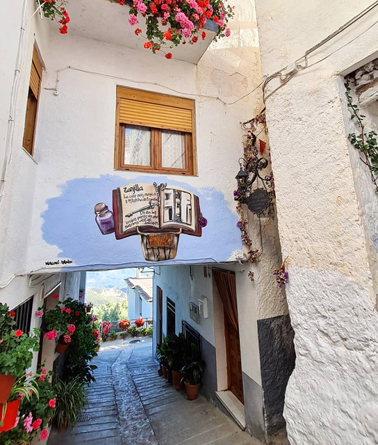 calle-zanjilla-soportujar